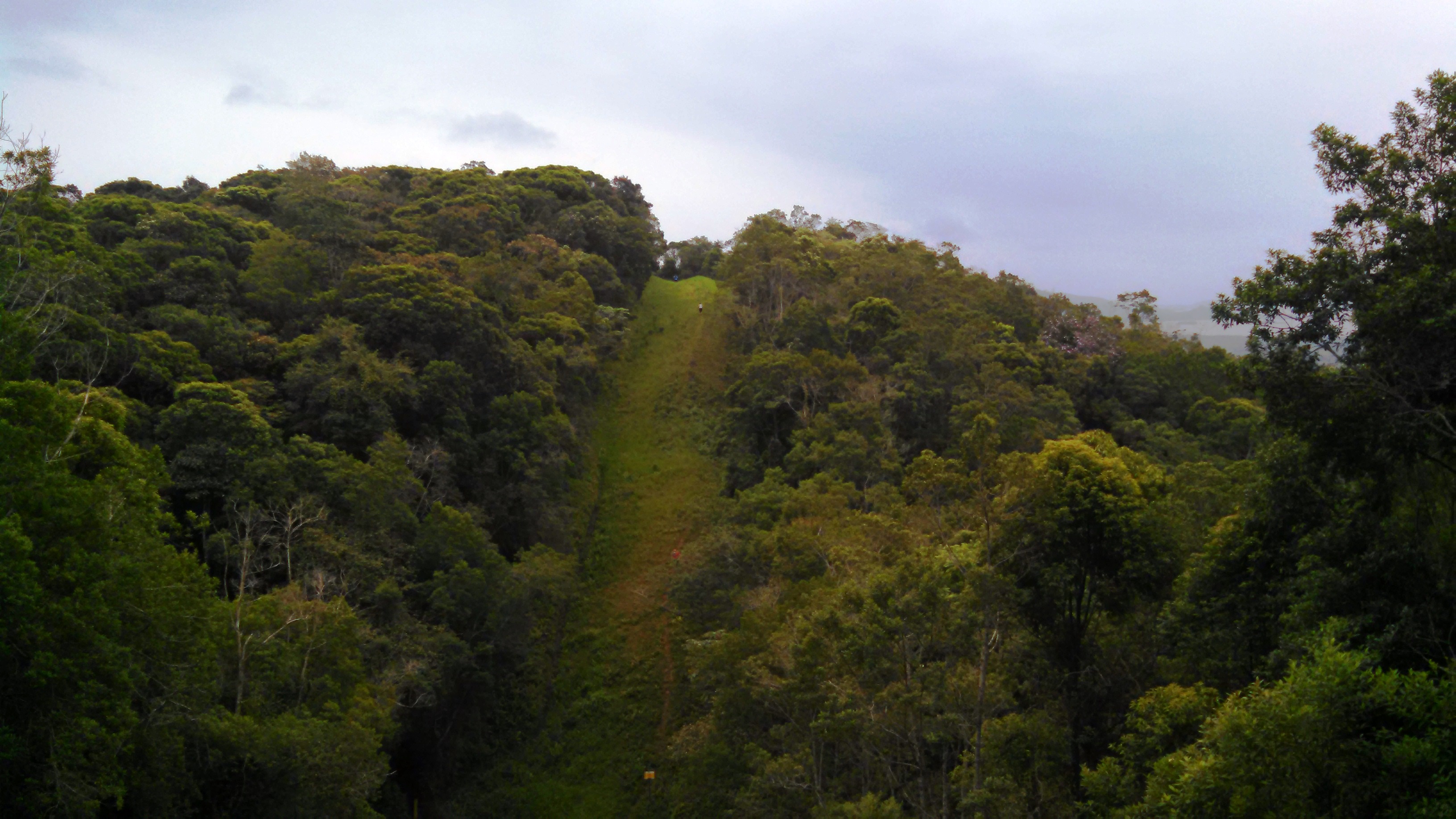 Relato de prova: Pro Trail Running e Copa Brasil de Corrida em Montanha Paranaguá